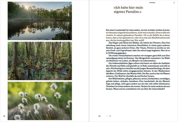 Produktbild: Rewilding am Oderdelta