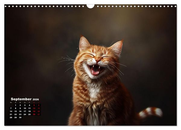 Produktbild: Auch Katzen lachen gern (Wandkalender 2026 DIN A3 quer), CALVENDO Monatskalender