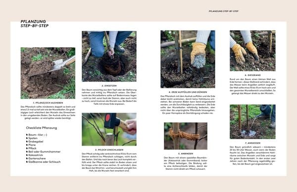 Produktbild: Kleine B&auml;ume f&uuml;r den Garten