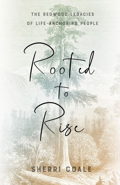Produktbild: Rooted to Rise