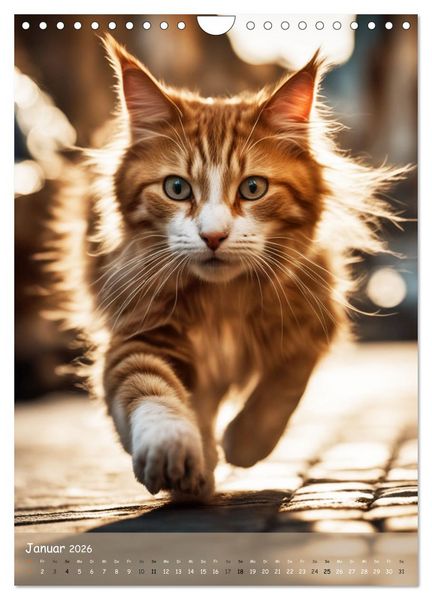Produktbild: In den Stra&szlig;en der Stadt - Tiere mitten unter uns (Wandkalender 2026 DIN A4 hoch), CALVENDO Monatskalender