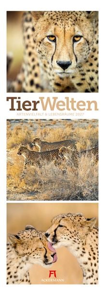 Produktbild: Tierwelten Triplet-Kalender 2027 | Artenvielfalt & Lebensr&auml;ume