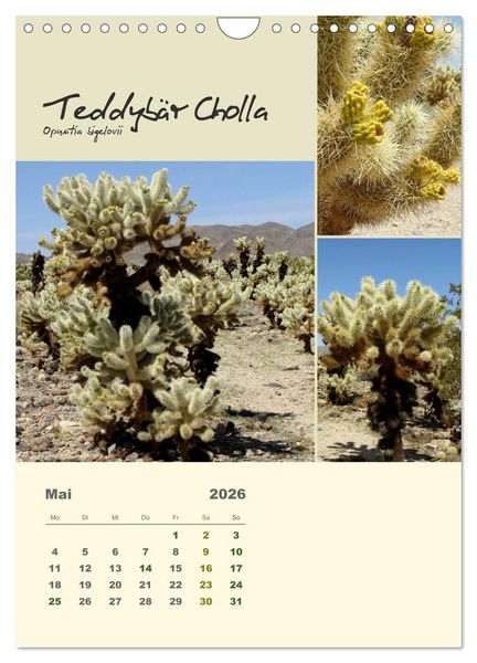 Produktbild: Kakteen der US-S&uuml;dweststaaten (Wandkalender 2026 DIN A4 hoch), CALVENDO Monatskalender