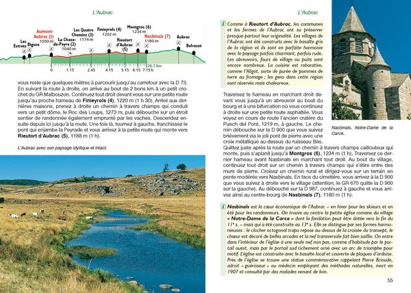 Produktbild: Chemin de St-Jacques - La Via Podiensis du Puy-en-Velay aux Pyr&eacute;n&eacute;es (Guide de randonn&eacute;es)
