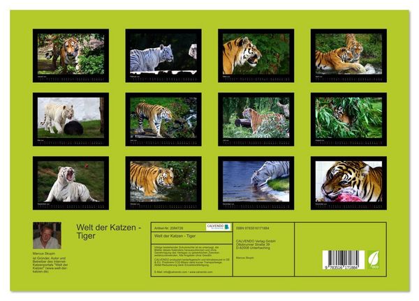 Produktbild: Welt der Katzen - Tiger (hochwertiger Premium Wandkalender 2026 DIN A2 quer), Kunstdruck in Hochglanz