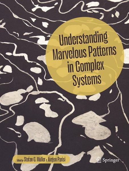 Produktbild: Understanding Marvelous Patterns in Complex Systems