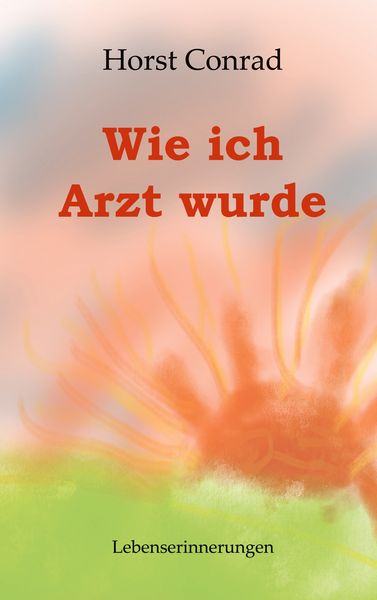 Produktbild: Wie ich Arzt wurde
