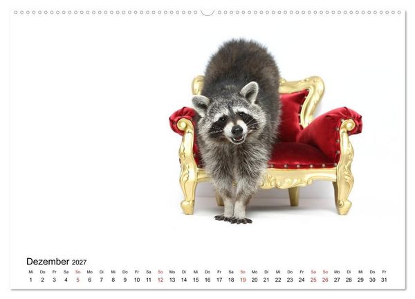 Produktbild: lach mit...just smile (hochwertiger Premium Wandkalender 2027 DIN A2 quer), Kunstdruck in Hochglanz