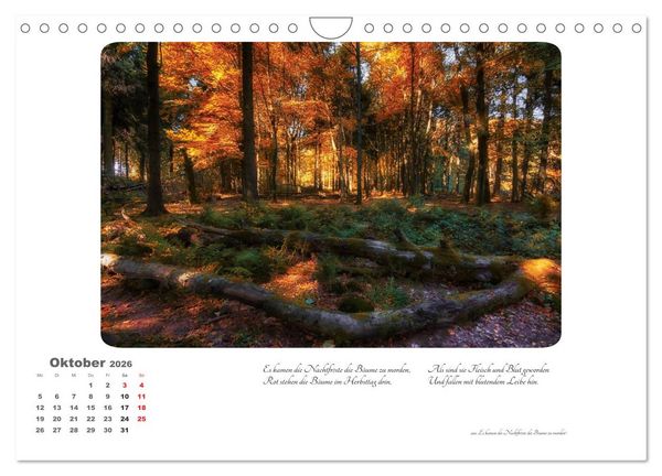 Produktbild: Max Dauthendey - Mit dem Wald durchs Jahr (Wandkalender 2026 DIN A4 quer), CALVENDO Monatskalender