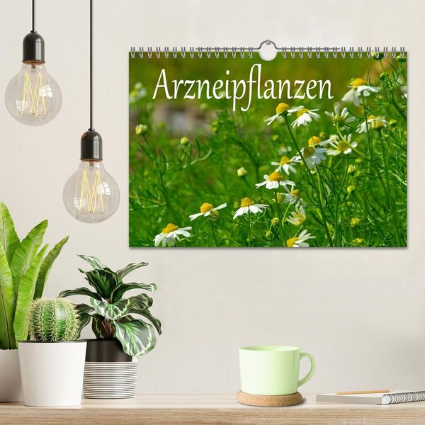 Produktbild: Arzneipflanzen (Wandkalender 2026 DIN A4 quer), CALVENDO Monatskalender