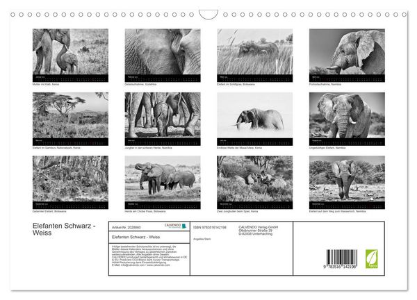 Produktbild: Elefanten Schwarz - Weiss (Wandkalender 2026 DIN A3 quer), CALVENDO Monatskalender