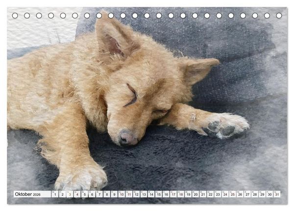 Produktbild: Niedliche Hunde - Digitale Aquarelle (Tischkalender 2026 DIN A5 quer), CALVENDO Monatskalender