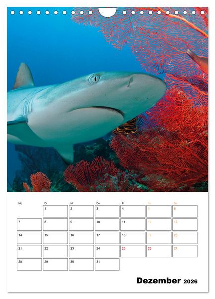Produktbild: Farbrausch unter Wasser: Fische am Riff (Wandkalender 2026 DIN A4 hoch), CALVENDO Monatskalender