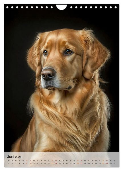 Produktbild: Golden Retriever - ein Hund f&uuml;r die Familie (Wandkalender 2026 DIN A4 hoch), CALVENDO Monatskalender