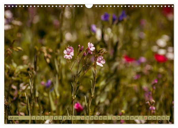 Produktbild: Wildwuchs 2026 (Wandkalender 2026 DIN A3 quer), CALVENDO Monatskalender