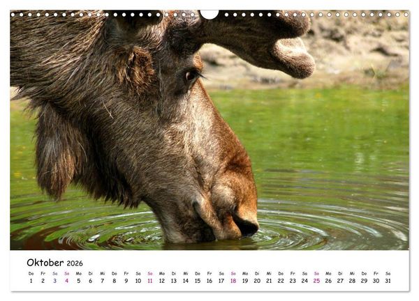 Produktbild: S&uuml;dschweden Smaland 2026 (Wandkalender 2026 DIN A3 quer), CALVENDO Monatskalender