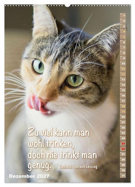 Produktbild: Der literarische Katerkalender (hochwertiger Premium Wandkalender 2027 DIN A2 hoch), Kunstdruck in Hochglanz