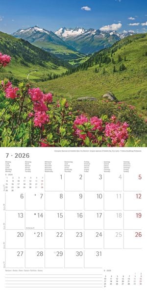 Produktbild: Alpha Edition - Alpen 2026 Broschürenkalender, 30x30cm, Wandkalender mit Platz für Notizen und Termine, Aufnahmen der Alpen, Monatsübersicht und Ferie
