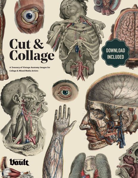 Cut and Collage A Treasury of Vintage Anatomy Images for Collage and Mixed Media Artists, Taschenbuch von Kale James, Vault Editions Ltd,