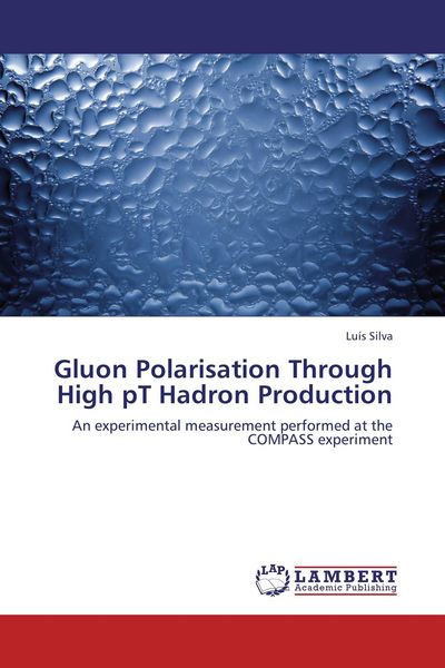 Produktbild: Gluon Polarisation Through High pT Hadron Production