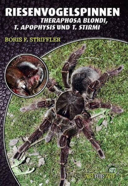 Riesenvogelspinnen, Taschenbuch von Boris F. Striffler, Natur Und Tier, 978-3-937285-79-5