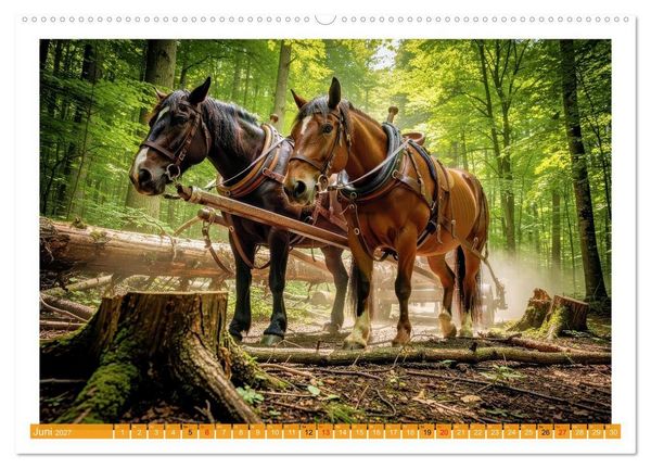Produktbild: Arbeitspferde in Action (Wandkalender 2027 DIN A2 quer), CALVENDO Monatskalender