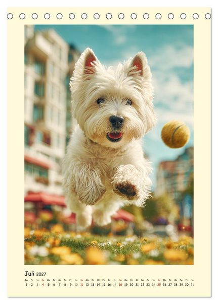 Produktbild: S&uuml;&szlig;er Wuschelkopf. West Highland White Terrier Momente (Tischkalender 2027 DIN A5 hoch), CALVENDO Monatskalender