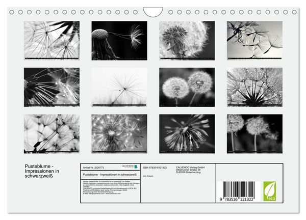 Produktbild: Pusteblume - Impressionen in schwarzwei&szlig; (Wandkalender 2026 DIN A4 quer), CALVENDO Monatskalender