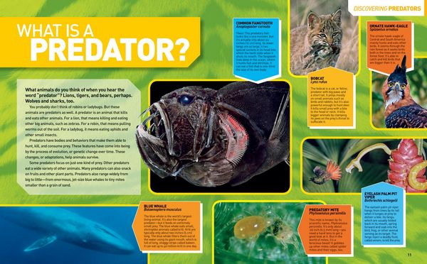 Produktbild: National Geographic Kids Ultimate Predatorpedia