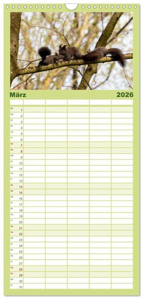 Produktbild: Familienplaner 2026 - Eichh&ouml;rnchenliebe mit 5 Spalten (Wandkalender, 21 x 45 cm) CALVENDO