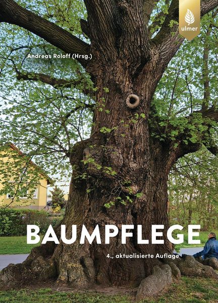 Produktbild: Baumpflege