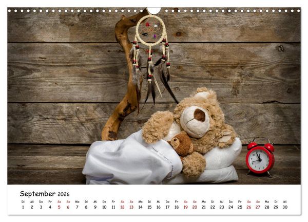 Produktbild: Eddy, der Teddy (Wandkalender 2026 DIN A3 quer), CALVENDO Monatskalender