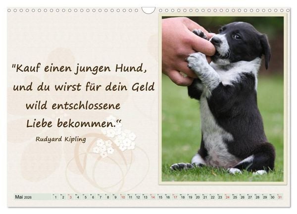 Produktbild: Mit Hundezitaten gut durchs Jahr / CH-Version (Wandkalender 2026 DIN A3 quer), CALVENDO Monatskalender