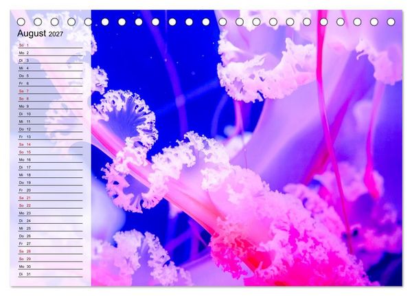Produktbild: Quallen - Faszinierende Urzeitwesen der Meere (Tischkalender 2027 DIN A5 quer), CALVENDO Monatskalender