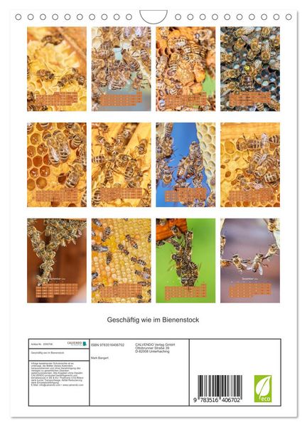 Produktbild: Gesch&auml;ftig wie im Bienenstock (Wandkalender 2026 DIN A4 hoch), CALVENDO Monatskalender