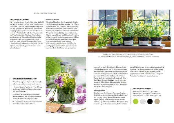 Produktbild: G&auml;rtnern auf der Fensterbank. Gem&uuml;se, Salate, Kr&auml;uter & Co.