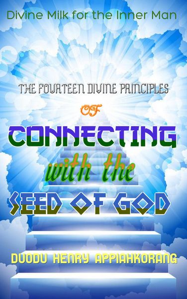 Produktbild: The Fourteen Divine Principles of Connecting with the Seed of God