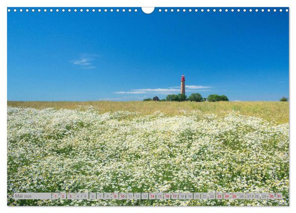 Produktbild: Leuchtt&uuml;rme - W&auml;chter der K&uuml;sten (Wandkalender 2026 DIN A3 quer), CALVENDO Monatskalender