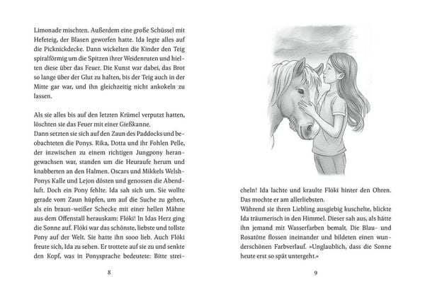 Produktbild: Die Ponys von Lillasund 4. Das Mittsommer-Turnier