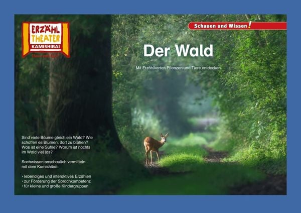 Produktbild: Der Wald / Kamishibai Bildkarten