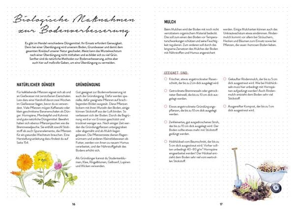 Produktbild: Mein Blumengarten &ndash; Das illustrierte Gartenbuch