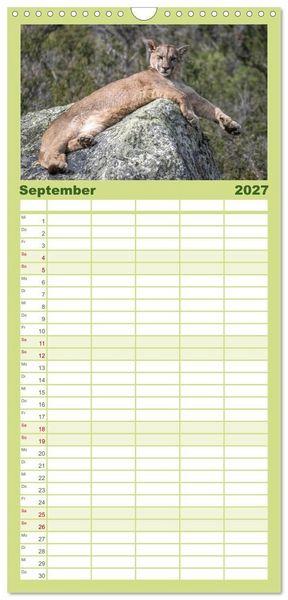 Produktbild: Familienplaner 2027 - Wildlife S&uuml;damerika mit 5 Spalten (Wandkalender, 21 x 45 cm) CALVENDO
