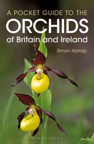 Produktbild: Pocket Guide to the Orchids of Britain and Ireland