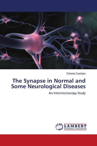 Produktbild: The Synapse in Normal and Some Neurological Diseases
