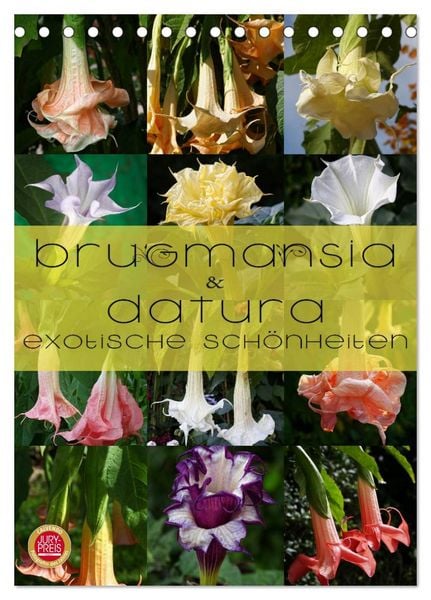 Produktbild: Brugmansia & Datura - Exotische Sch&ouml;nheiten (Tischkalender 2026 DIN A5 hoch), CALVENDO Monatskalender