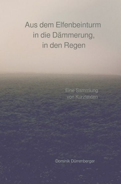 Produktbild: Aus dem Elfenbeinturm in die D&auml;mmerung, in den Regen