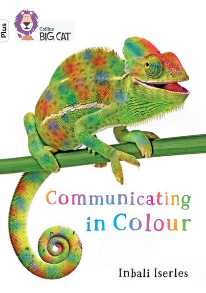 Produktbild: BIG CAT_COMMUNICATE IN COLOUR