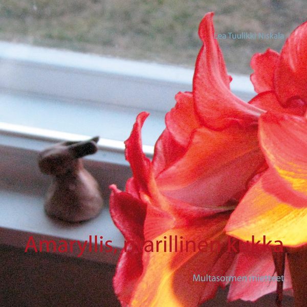 Produktbild: Amaryllis, ritarillinen kukka