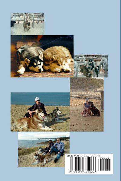Produktbild: Dogs and Disturbance