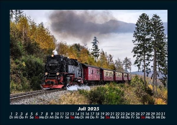 Produktbild: B&auml;ume 2025 Fotokalender DIN A5